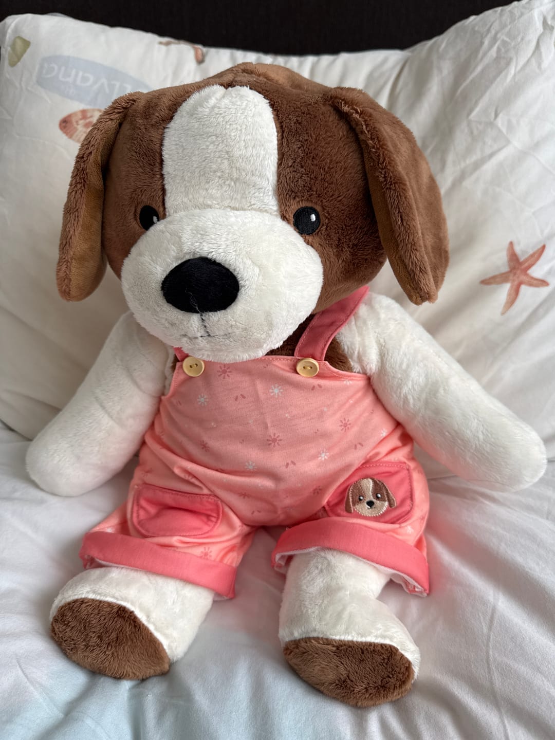 Customer photo review of Hond Kleding Lente Lotgenootje