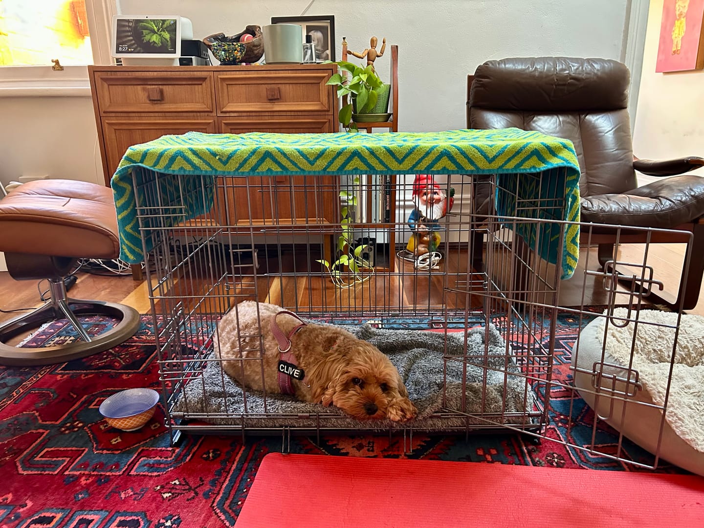 Customer photo review of Kangaroo Dog Crate Mat
