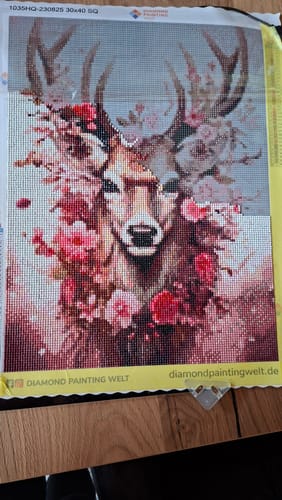 Kundenbewertung mit Foto zu Hirsch in Blumen