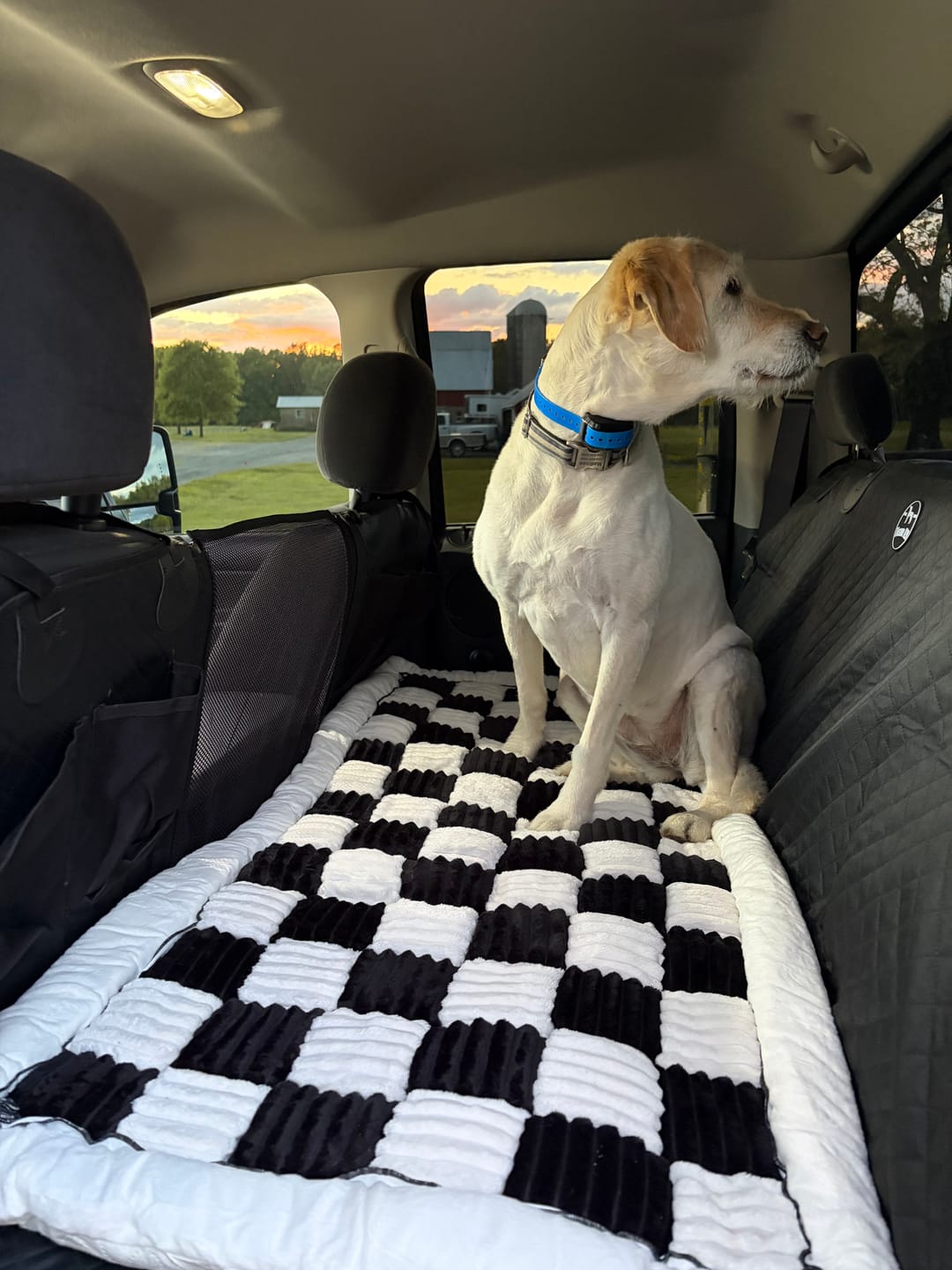 Customer photo review of NEW Waterproof Hard Bottom Car & Truck Seat Foldable Hammock Cover With Storage Pockets, Side Flaps, Headrest Straps, Seat Anchors, & Mesh Window (+FREE SAFETY BELT!)