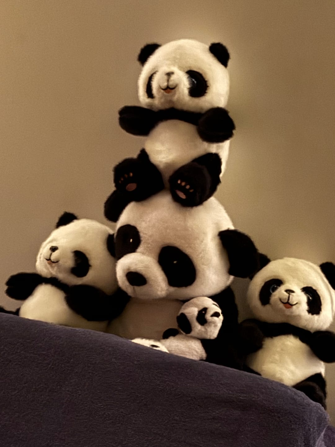 Customer photo review of Mini & Grote Panda - Je bespaart €20
