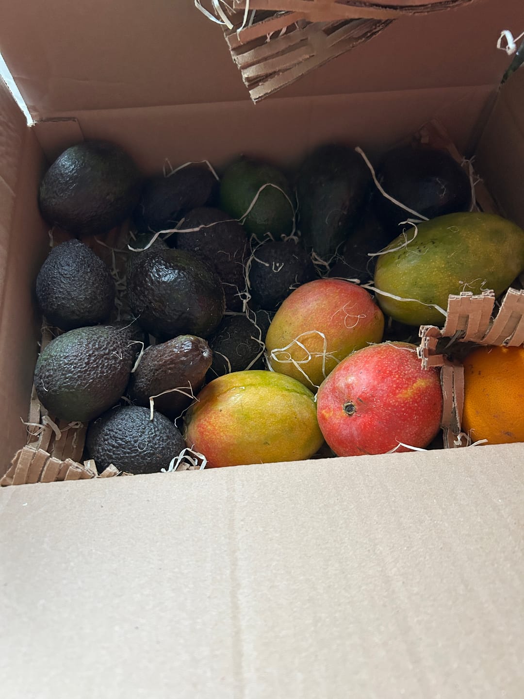Customer photo review of Mango Haden Bio baumgereift Sonderaktion %