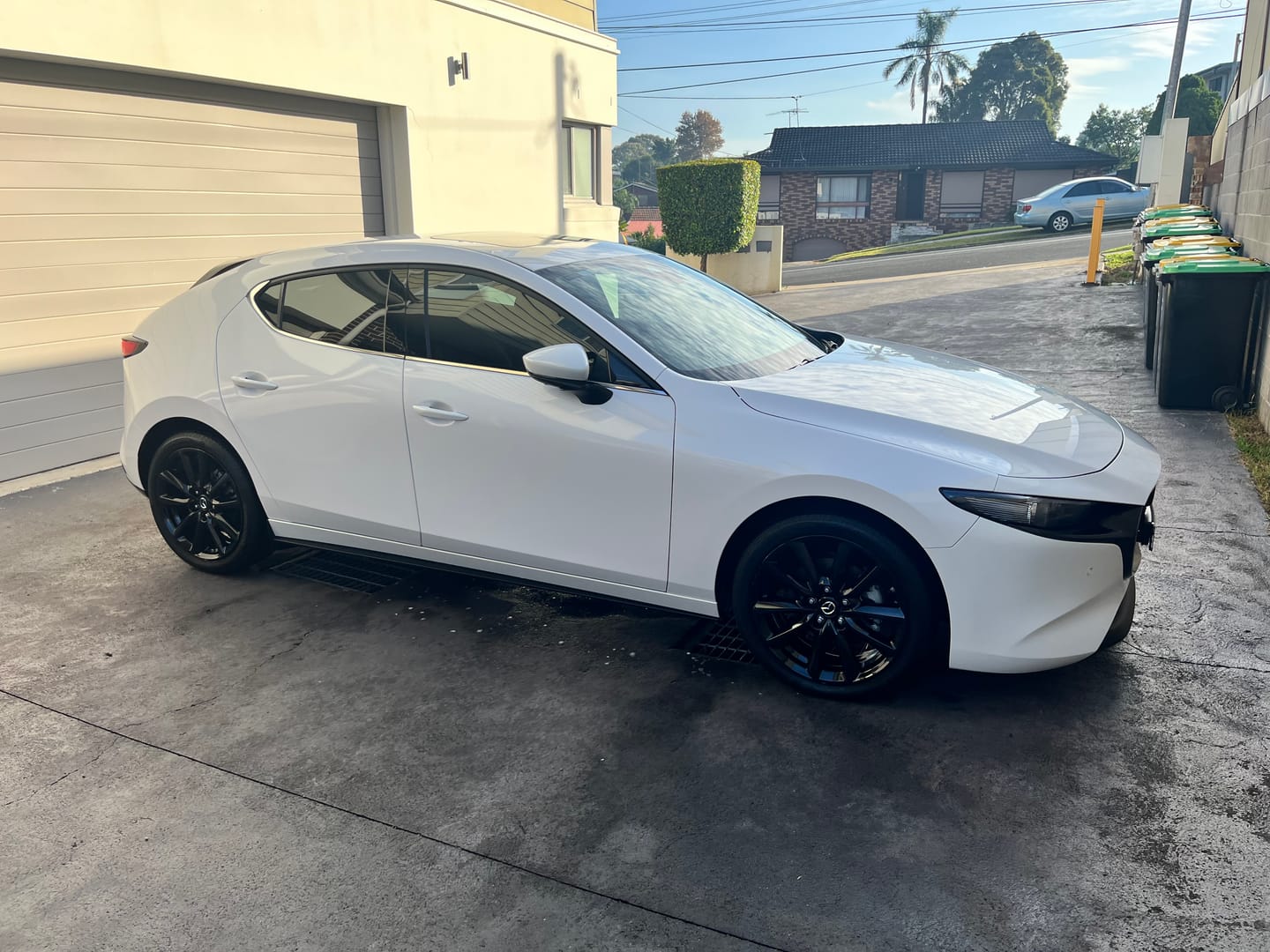 Customer photo review of Tyre Milk