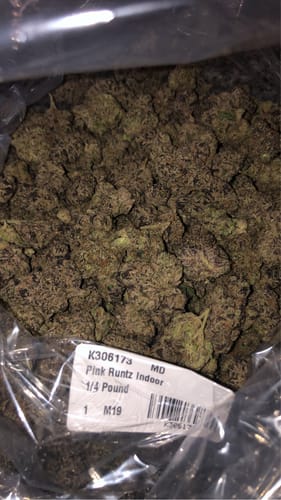 Pink Runtz Indoor - Bulk - Hybrid photo review