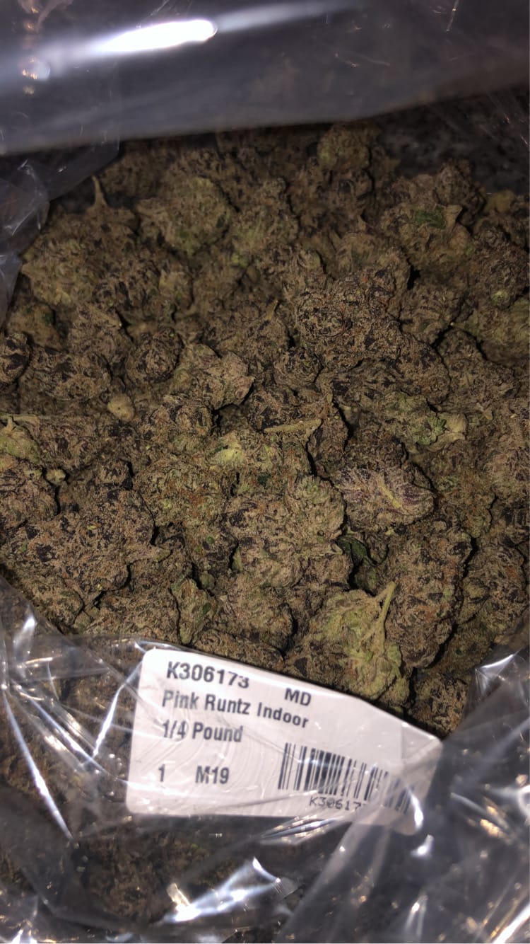 Customer photo review of Pink Runtz Indoor - Bulk - Hybrid