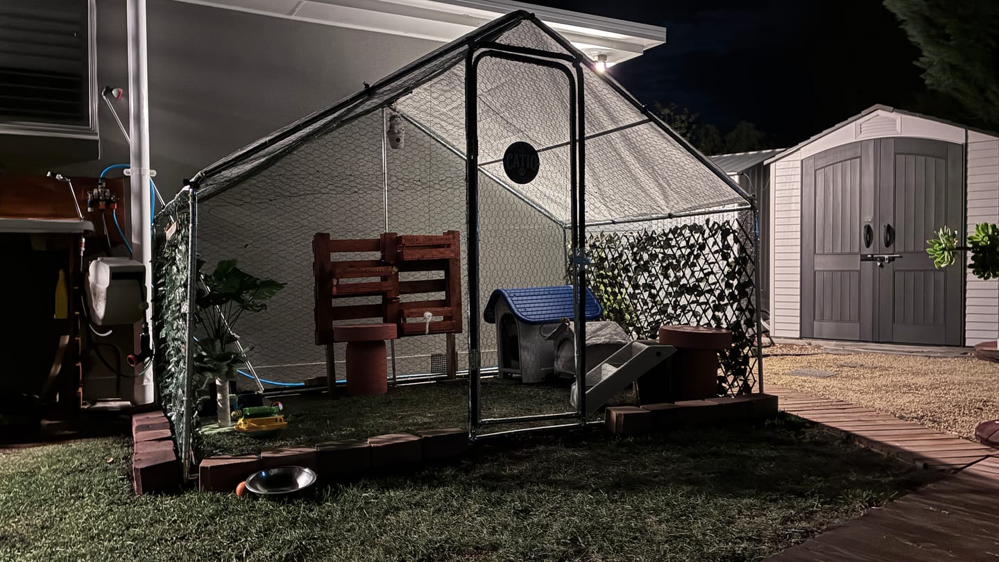 Customer photo review of Pets Gear Metal Cat Cage Outdoor Enclosure