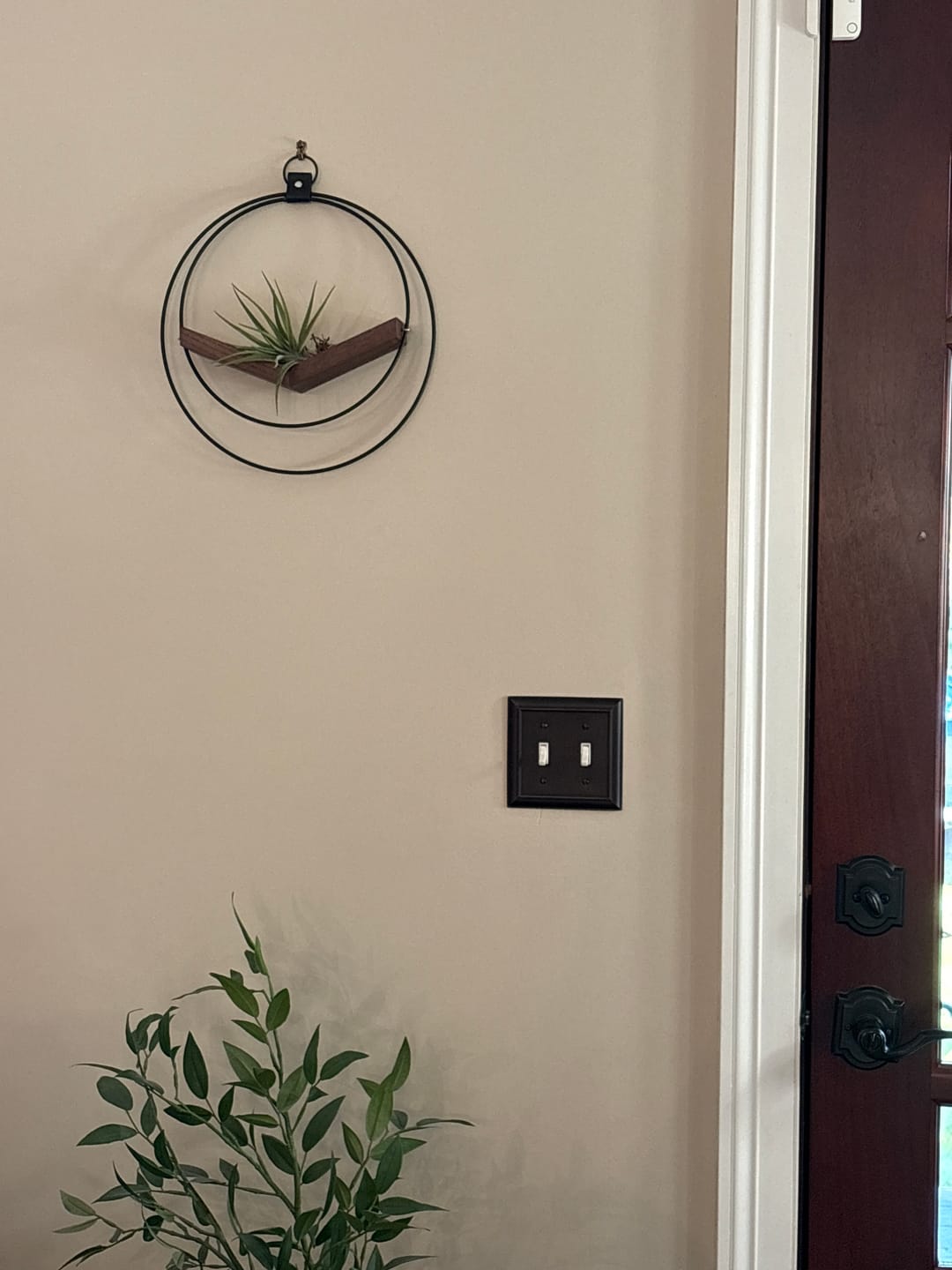 Customer photo review of Air Plant V-Hanger