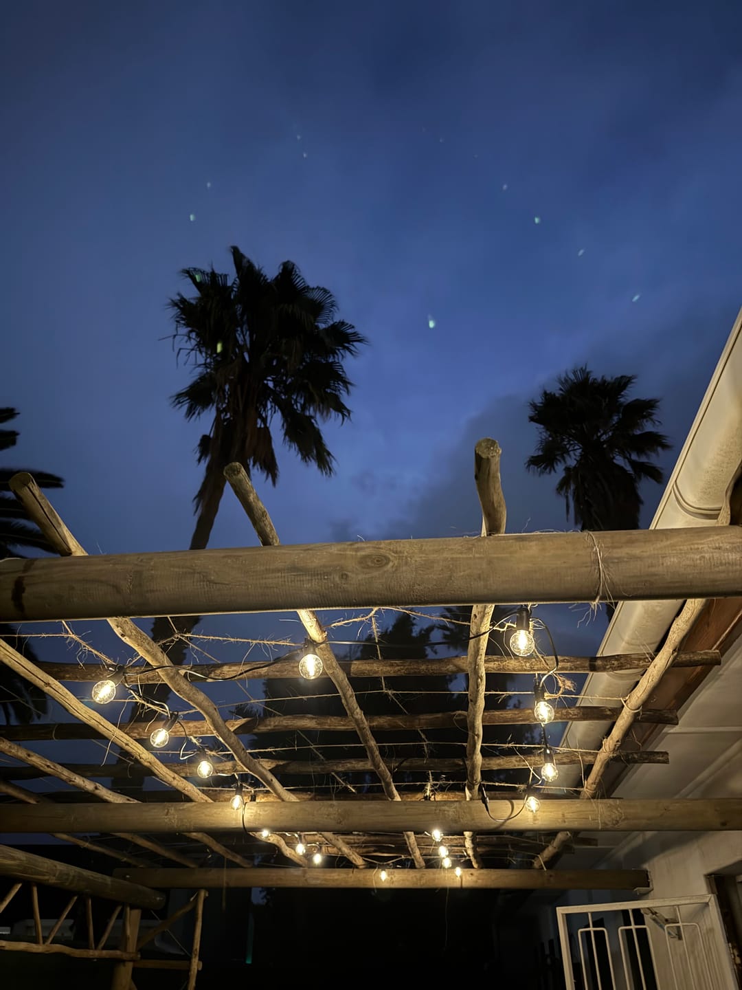 Customer photo review of Solar Mini Bulb String Lights