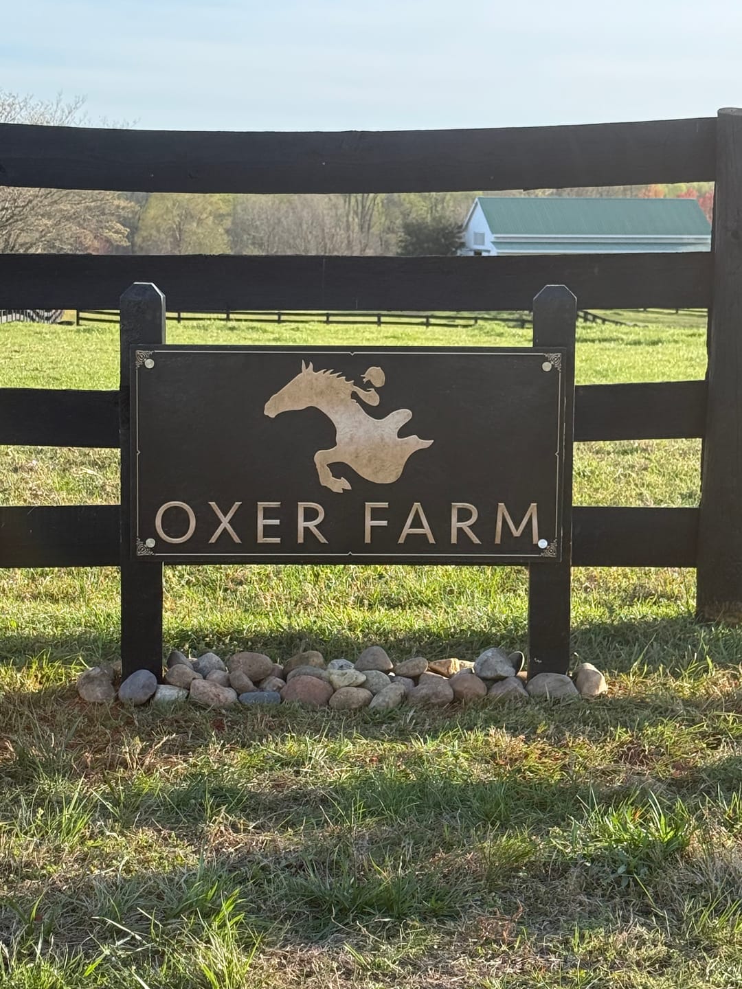 Customer photo review of Create Your Custom Sign with Tailor Made Rooms - (Start Deposit)