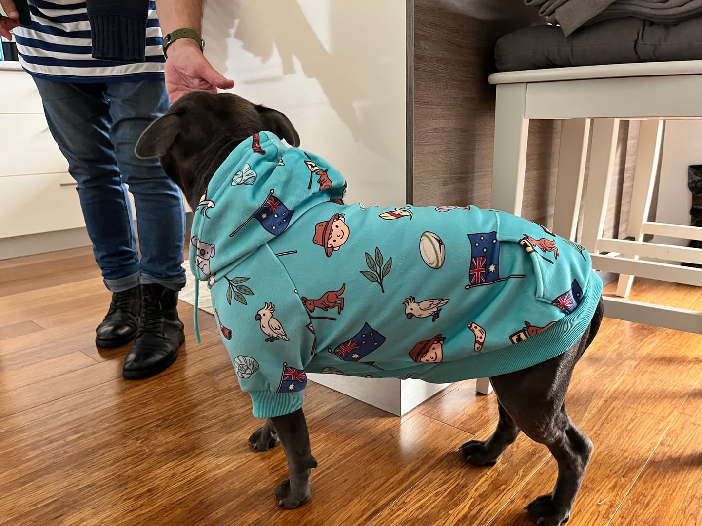 Customer photo review of The Australia Dog Hoodie - Teal