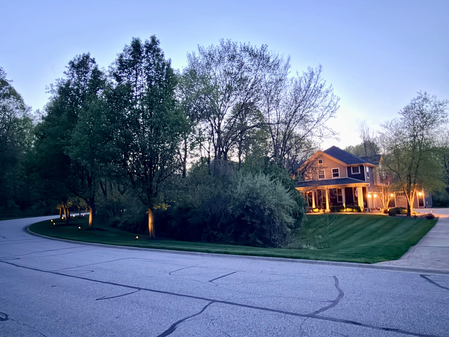 Customer photo review of TSUN Solar Spotlights For Trees Cool White