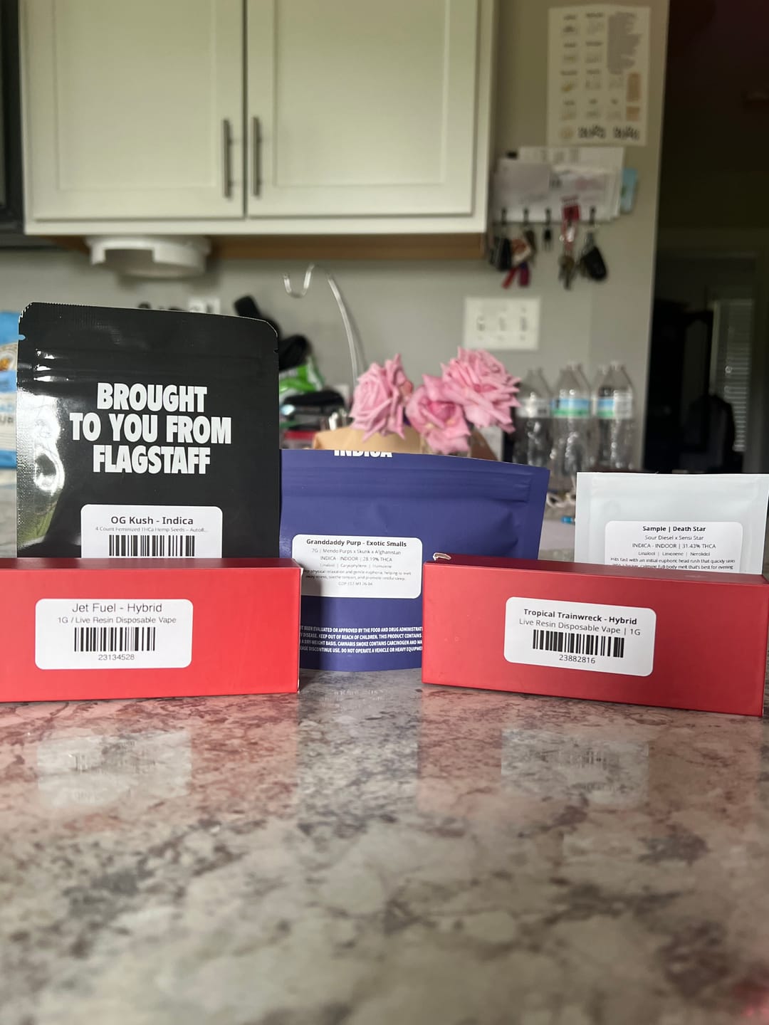 Customer photo review of 4 Count Feminized THCa Hemp Seeds – Autoflower