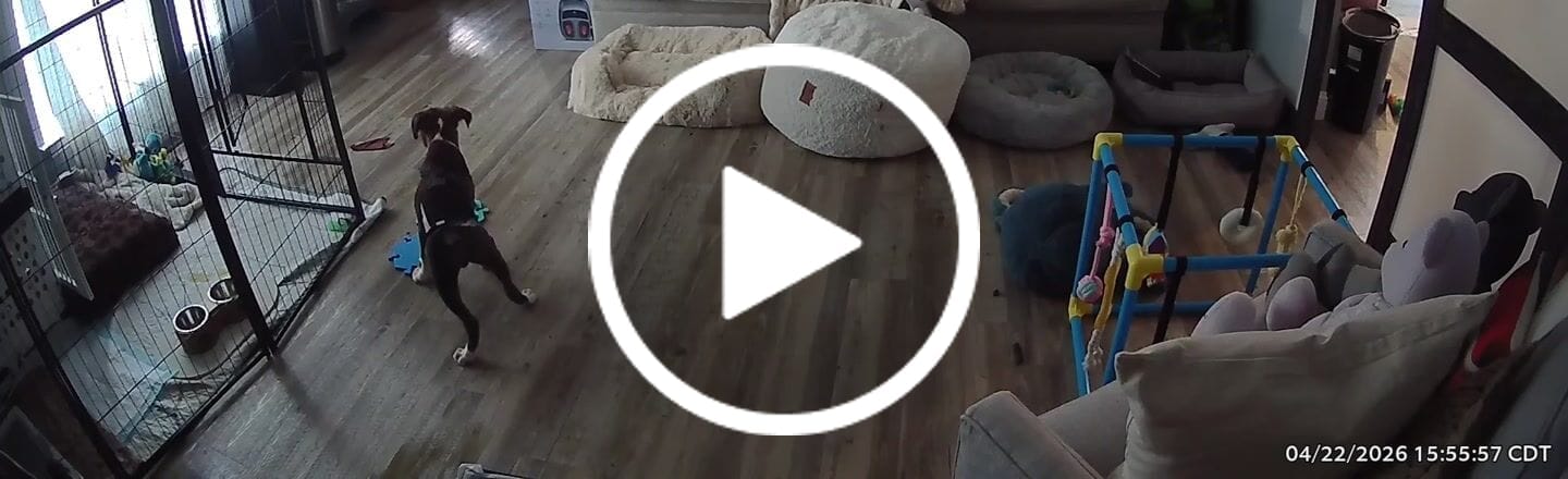 Customer video review of Get Started Kit Bold