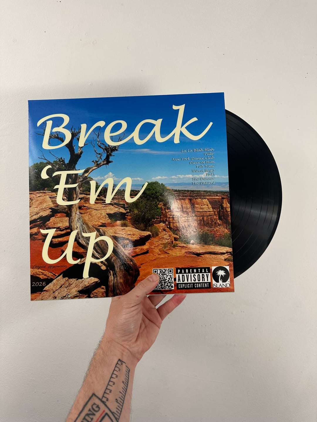 Customer photo review of Custom Vinyl Records