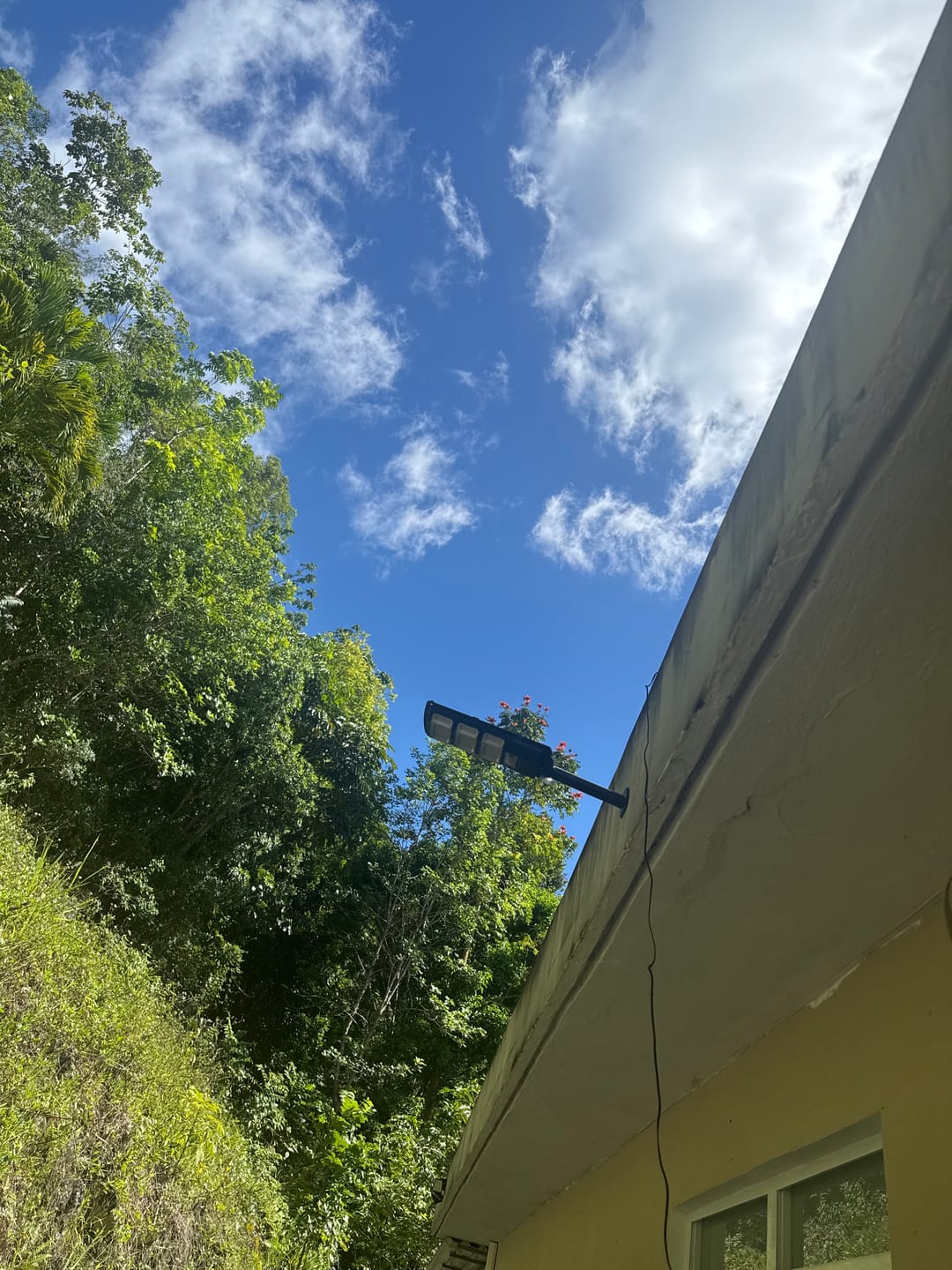 Customer photo review of Foco Solar 300W