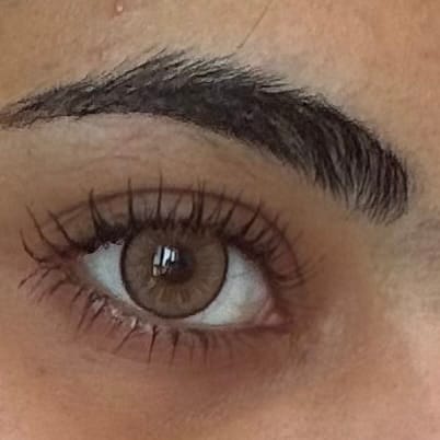 Customer photo review of BELLE | OLIVE BRAUN