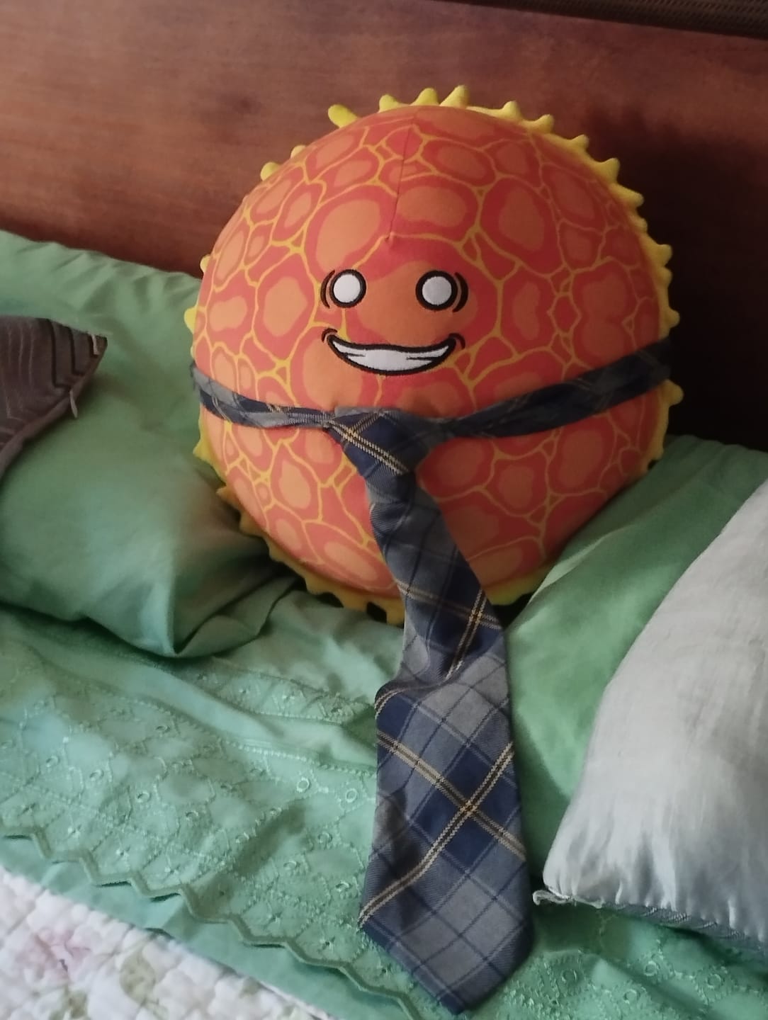 Customer photo review of The SolarBalls Sun Plush