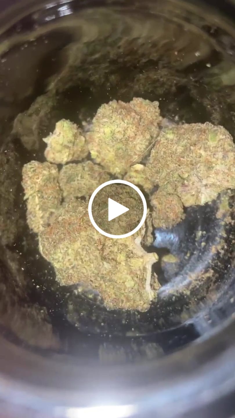 Customer video review of Purple Push Pop -THCa Flower