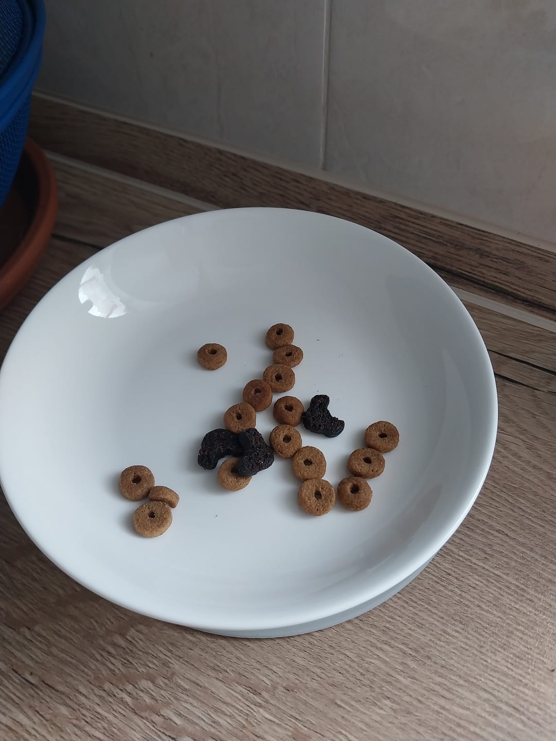 Customer photo review of Gelenk Gummies