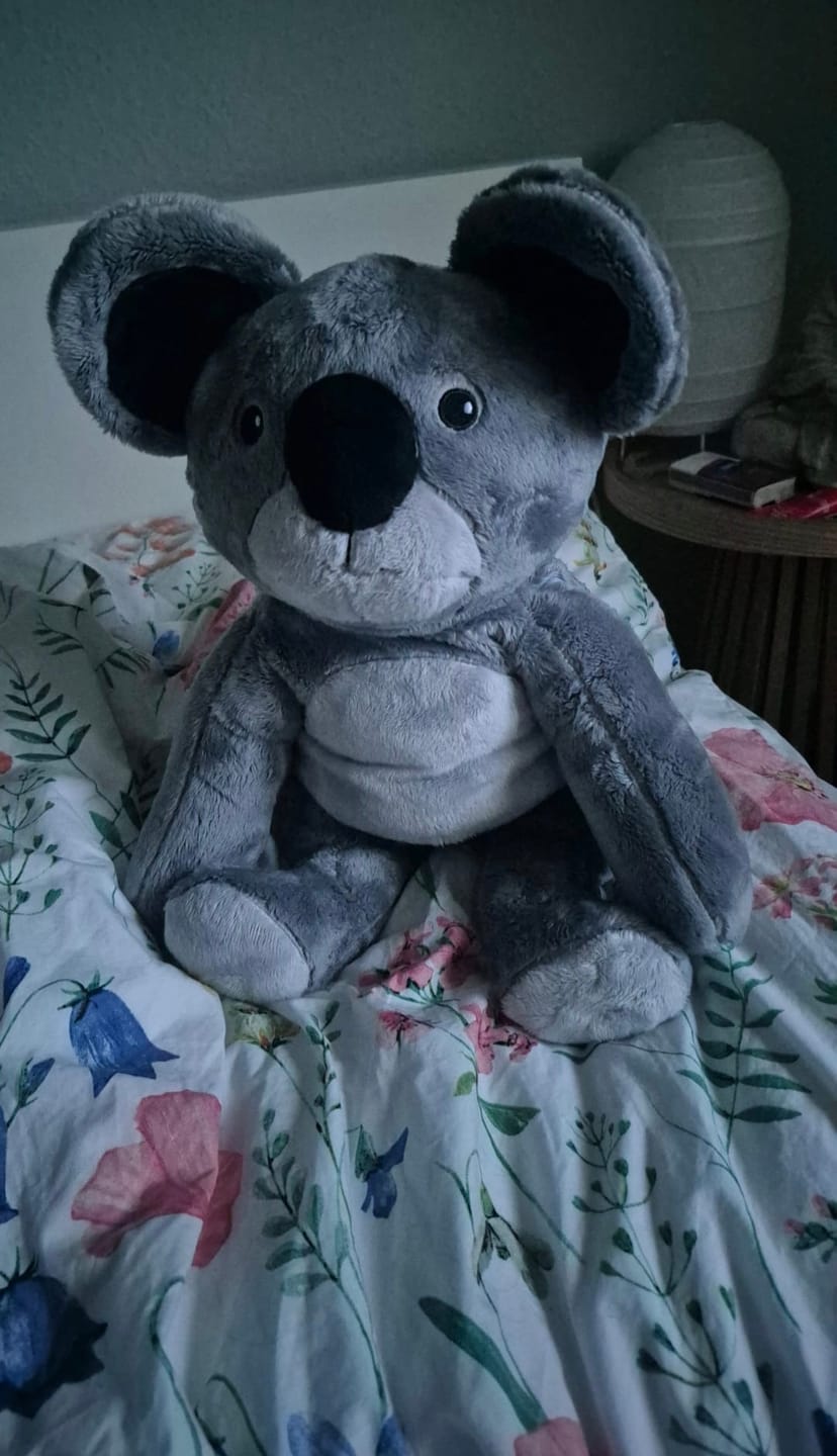 Customer photo review of Lotgenootje Koala 2kg