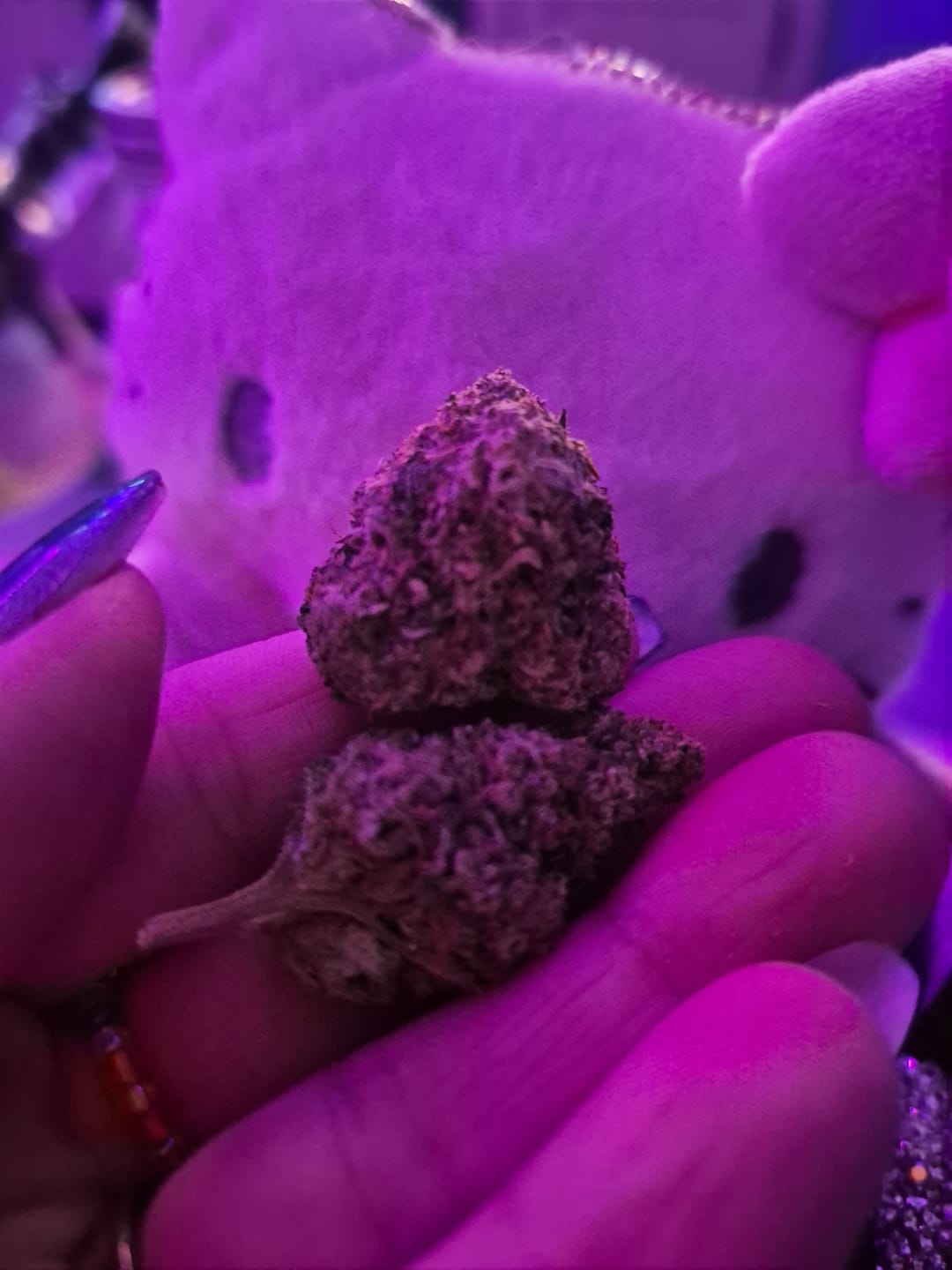 Customer photo review of Alien OG - 4 Grams - Indica