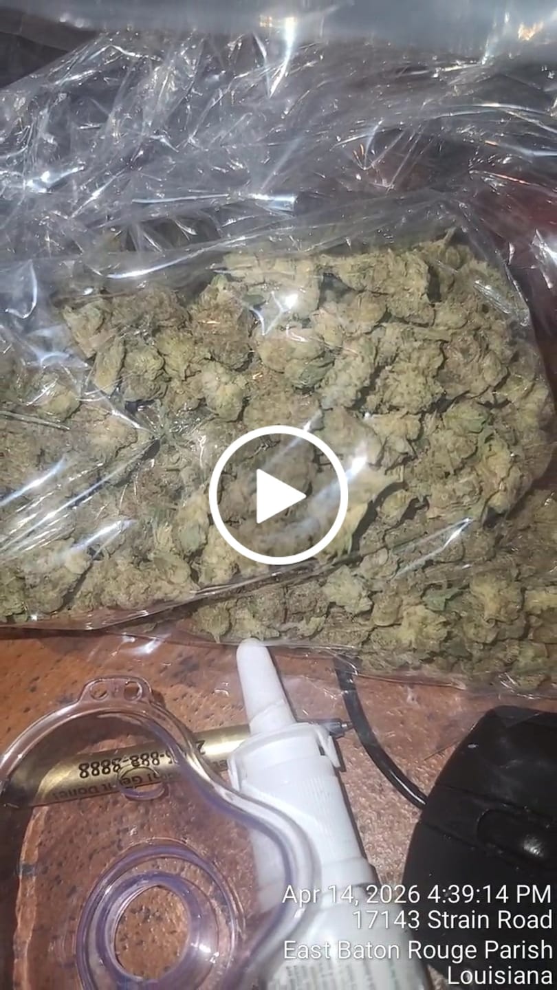 Customer video review of Apple Banana Minis - Bulk Minis - Hybrid