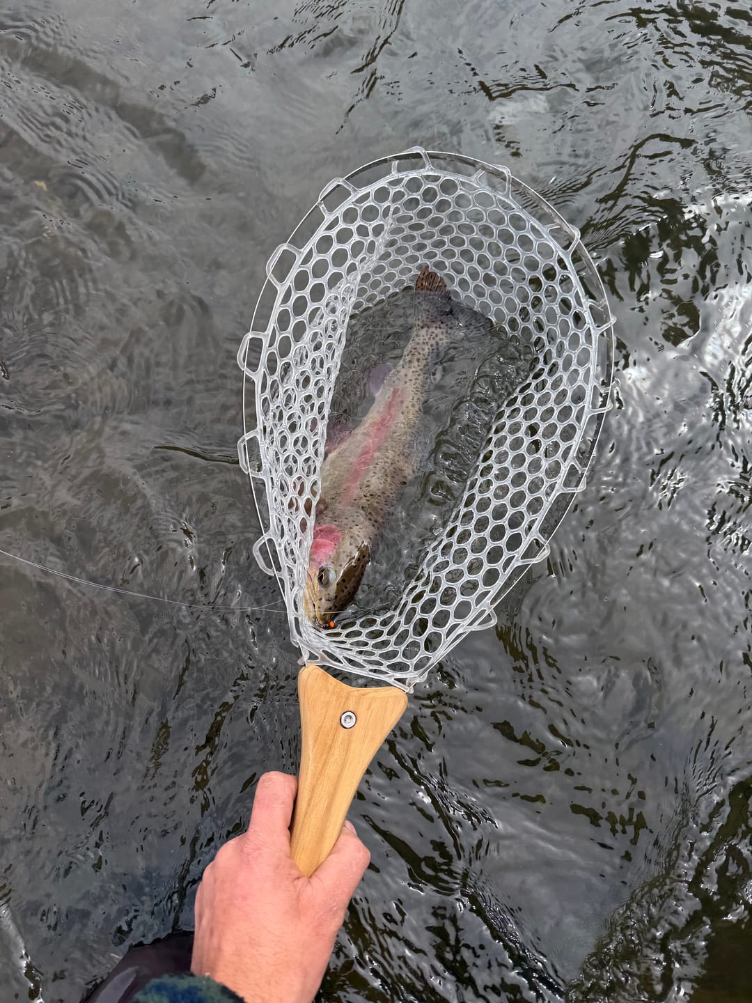 Customer photo review of Collapsible Insta-Net