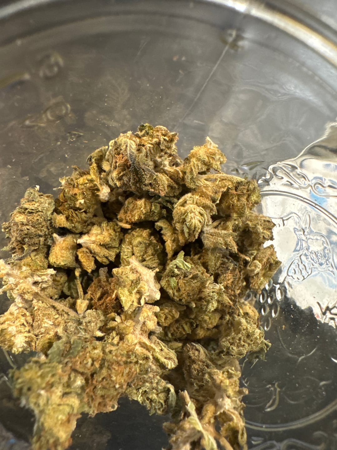 Customer photo review of Space Junkie
