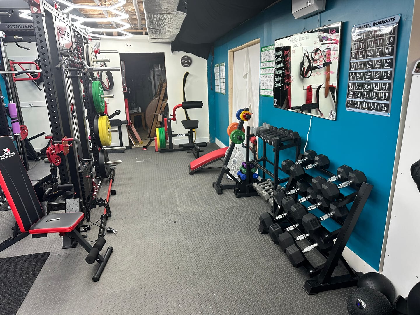 Customer photo review of Revolt Lateral Raise Attachment