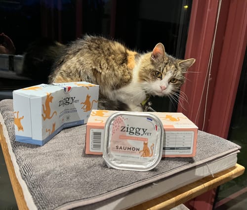 Le chat d'un client pose à côté de sa Pâtée VET - IRC Saumon, présentée en boîte et en barquette.