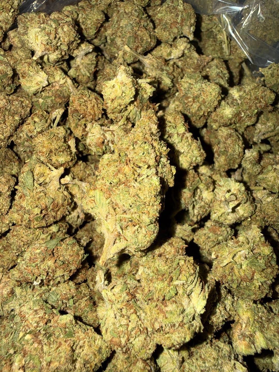 Customer photo review of Fire OG - Bulk - Indica