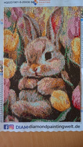 Kundenbewertung mit Foto zu Süßes Kaninchen, das in den Tulpen liegt