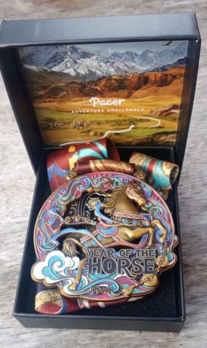 Customer photo review of Year of the Horse Virtual Race