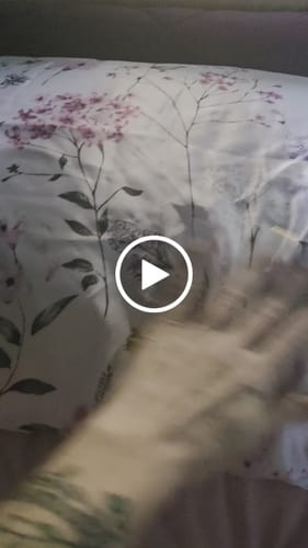 Customer video review of Waterproof & Stain-Resistant Hotel Pillow