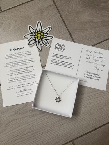 Recensione con foto di un cliente su Stella delle Alpi - collana e medaglia argento 925