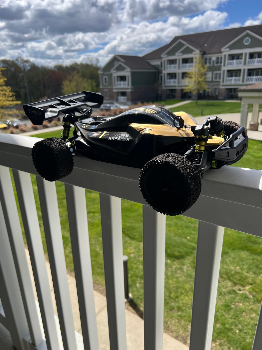 Customer photo review of Rlaarlo Storm Breaker 1/10 Carbon Fiber Brushless RTR 4WD Buggy | SBK10