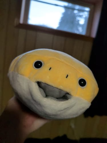 Customer photo review of Sacabambaspis Prehistoric Fish Plush – Adorably Soft and Perfect for Science Lovers