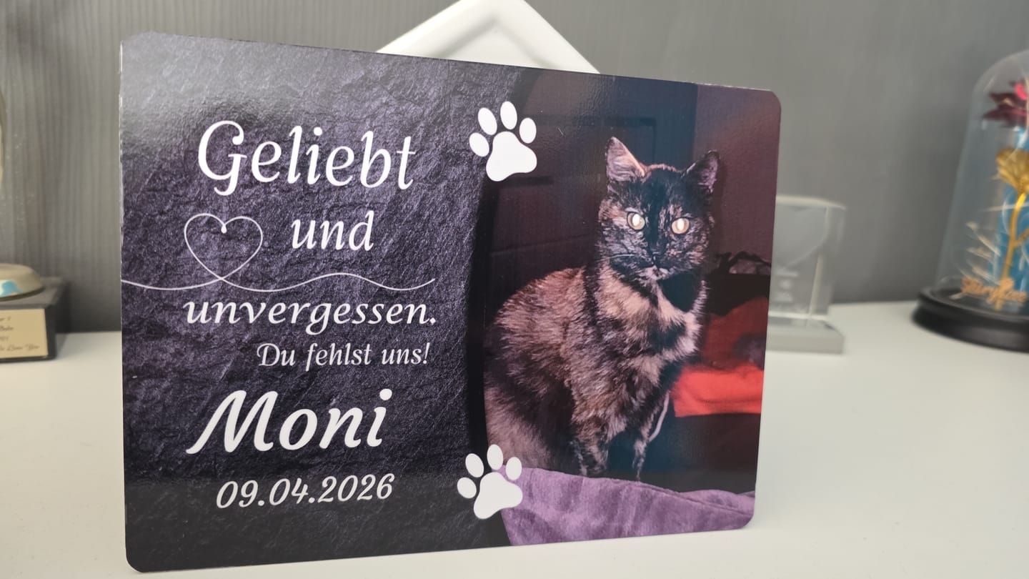 Customer photo review of Katzen Gedenktafel mit Foto & Spruch (UV- & Wetterfest)