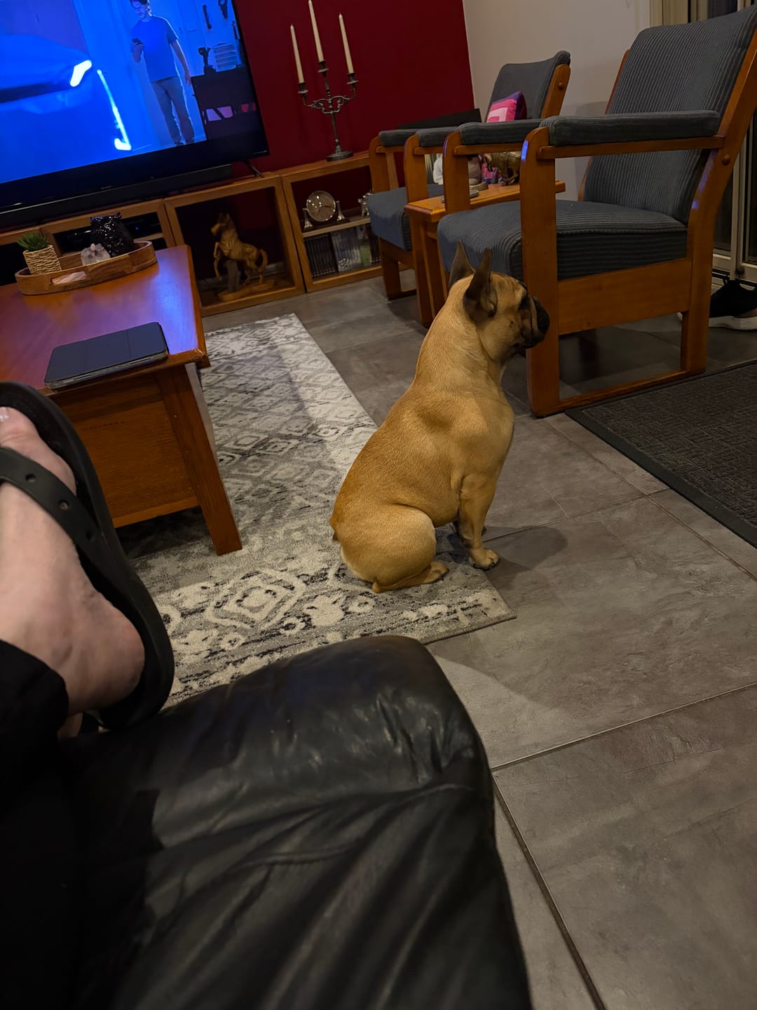 Customer photo review of Bugsy's Air-Dried Chicken