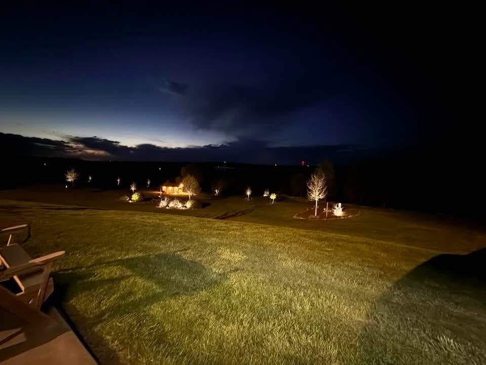 Customer photo review of TSUN Solar Spotlights For Trees Cool White
