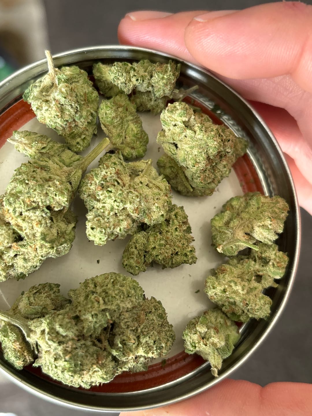 Customer photo review of Jet Fuel Gummies Light Assist THCA