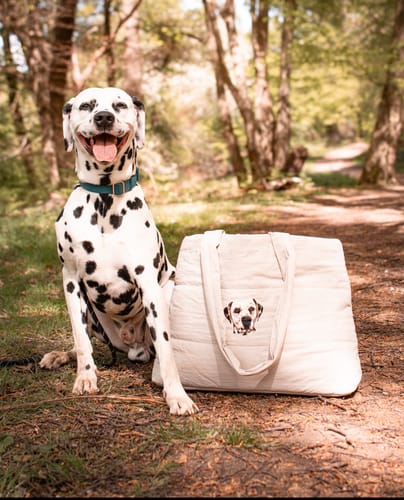 Customer photo review of Lenny