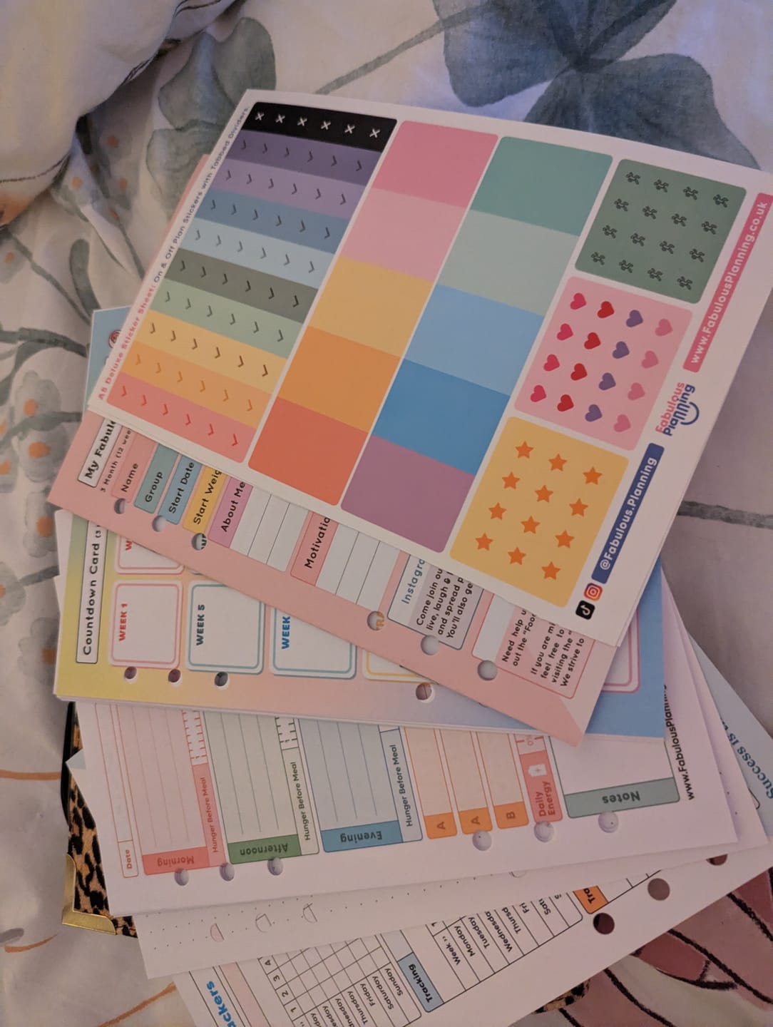 Customer photo review of Slimming World Compatible - Spacious - Organiser Refill