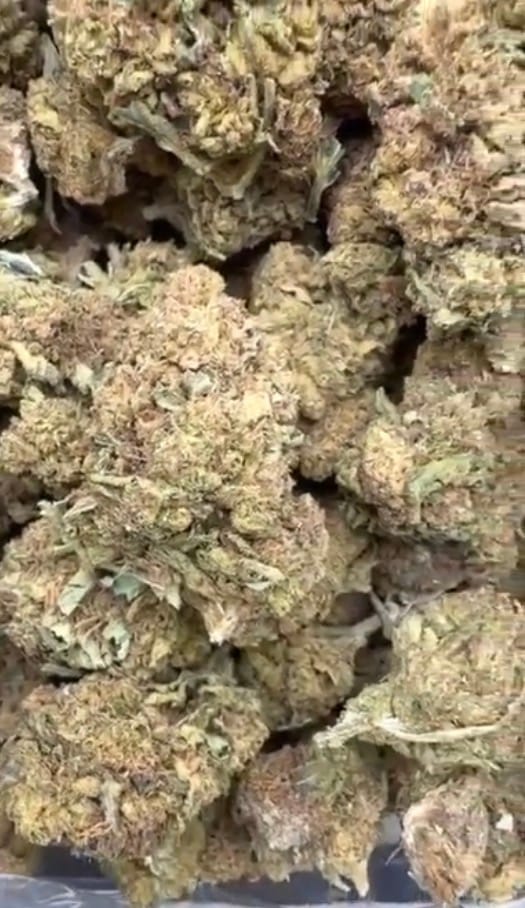 Customer photo review of Butterscotch OG - Bulk - Indica