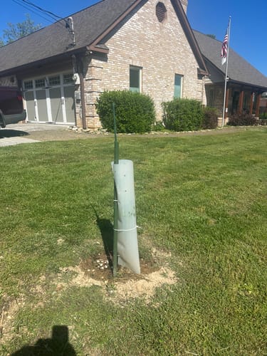 Customer photo review of Hybrid Chestnut