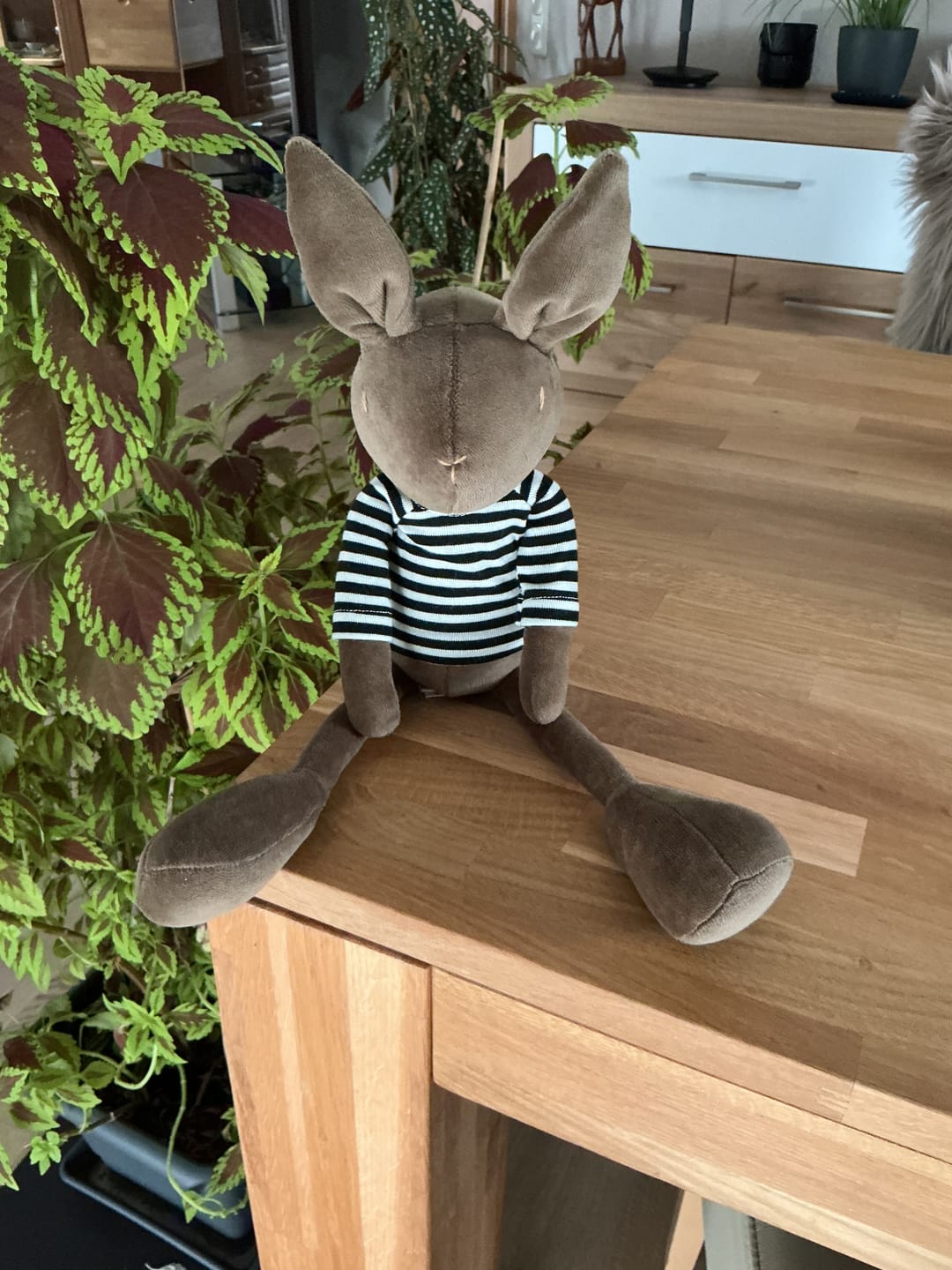 Customer photo review of DANIEL LE LAPIN - M/L