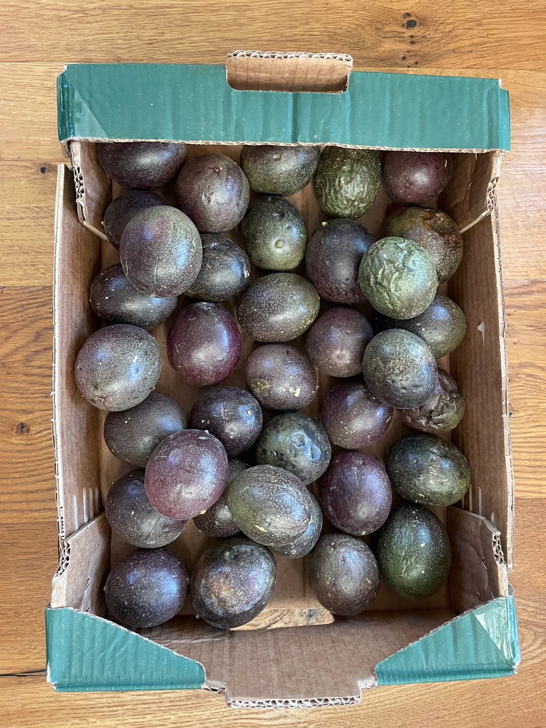 Customer photo review of Passionsfrüchte von Julian Sonderaktion %
