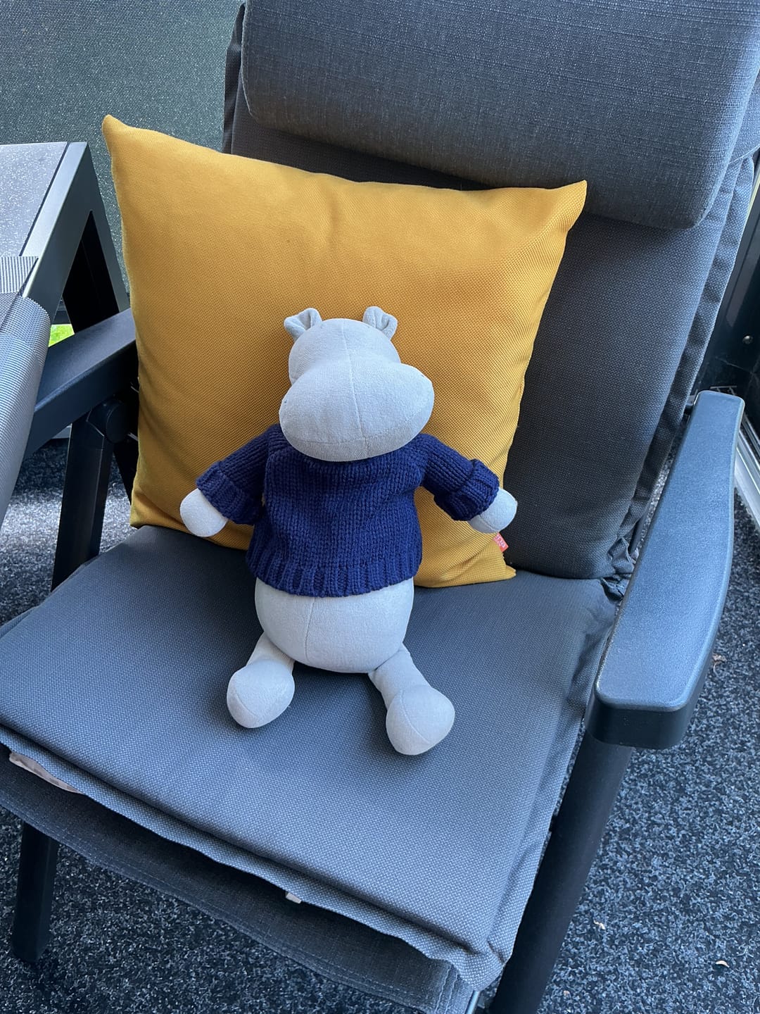Customer photo review of LE PULL - L/XL