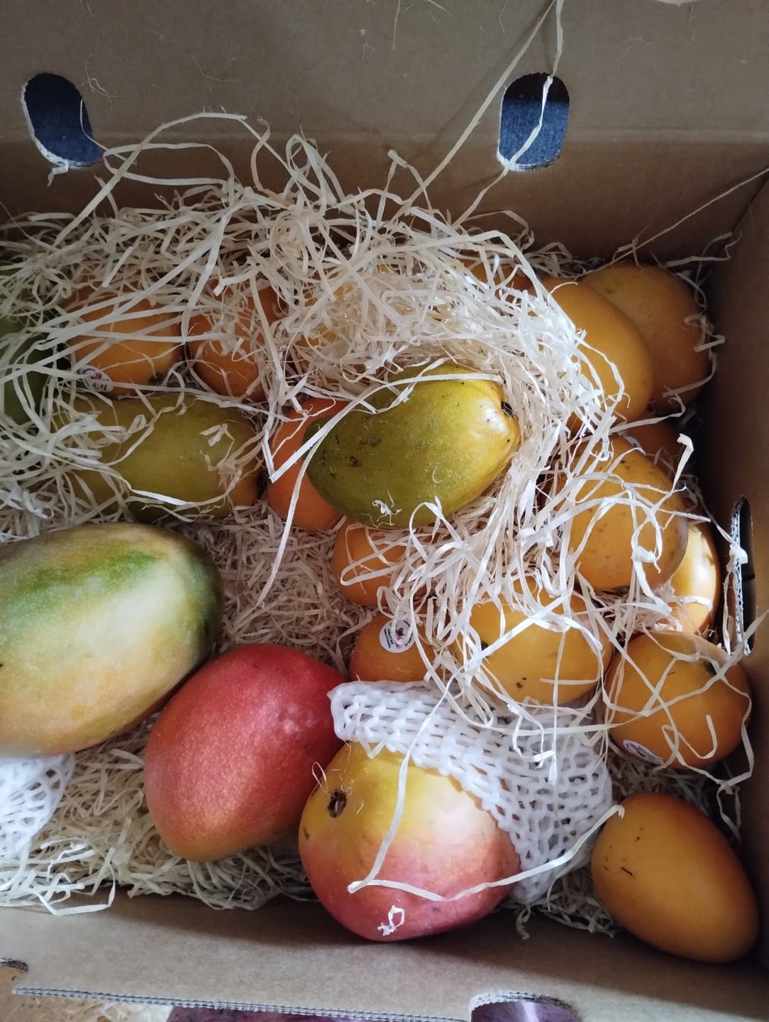 Customer photo review of Mango-Trio Mix-Box 2kg Sonderaktion %