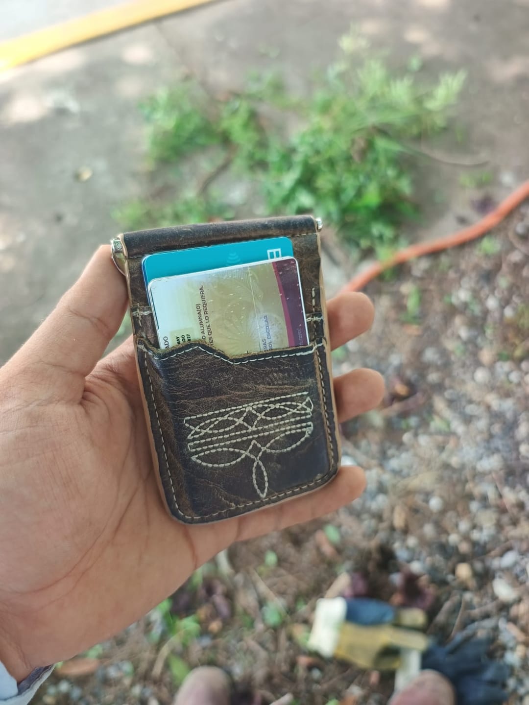 Customer photo review of Billetera de clip Cesar café vaquero ringle beige